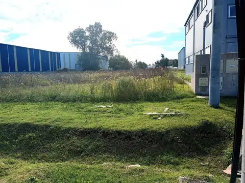 Ruta 24 entre Teresa de Calcuta y Corrientes