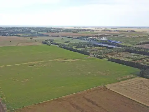 Mar del Plata - 50 has. Agricola.