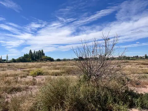 Terreno en Venta de 50000,0 m2