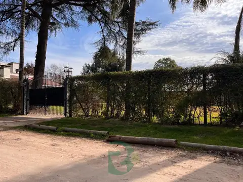 De La Tradición 800