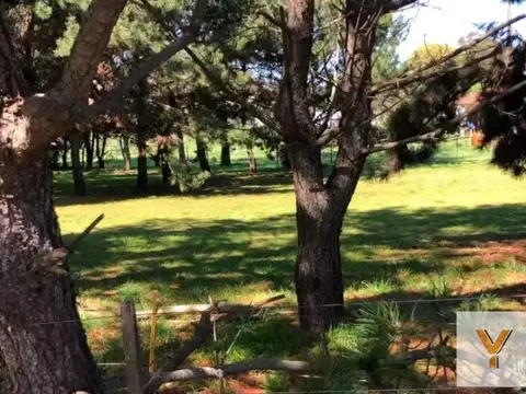 Terreno en venta - 2.586Mts2 - Chapadmalal