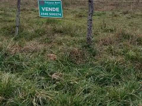 calle 15