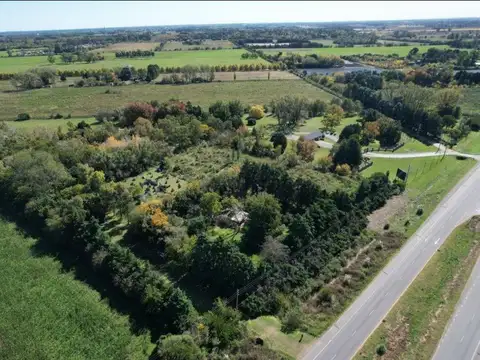 CAMPO EN VENTA, GRAL RODRIGUEZ, SOBRE RUTA 6