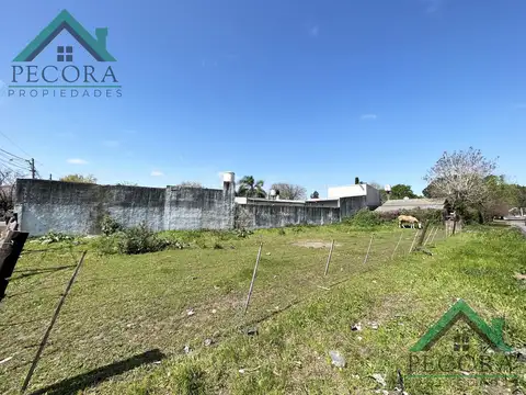 Miguel Cane  391 esquina Cane - Belen de Escobar