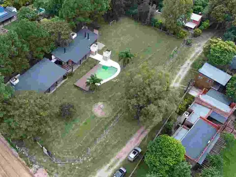 Los Lapachos y Los Grillos 100