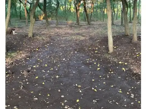 JORE RICARDO GOOY 3103