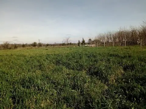 JORE RICARDO GOOY 3103