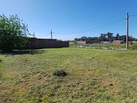 Terreno en Venta 21  mts Fondo