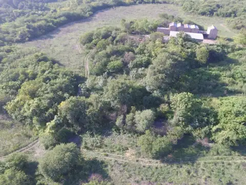 Campo en Venta de 30  ha