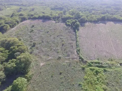 Campo en Venta Agrícola