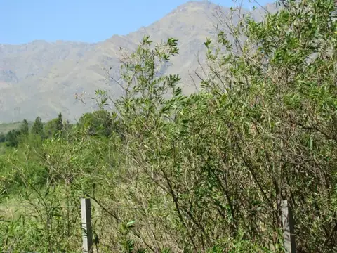 Terreno en Venta de 3200,0 m2