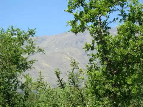 Terreno en Venta de 3200,0 m2