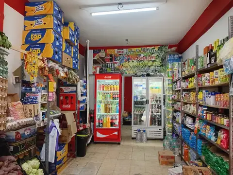 Terreno De 8,72x16m2 En Venta: Casa En Pb Y 1er Piso Con Garage + Local Comercial