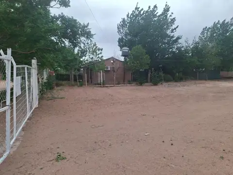 Minas 100