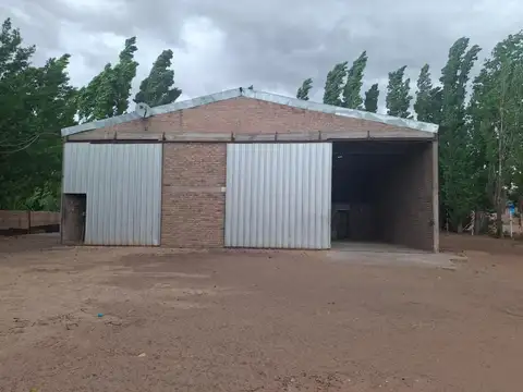 Minas 100