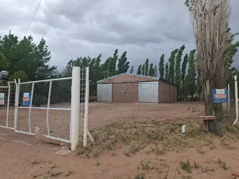 Galpón en Alquiler en Rincon de los Sauces, Pehuenches