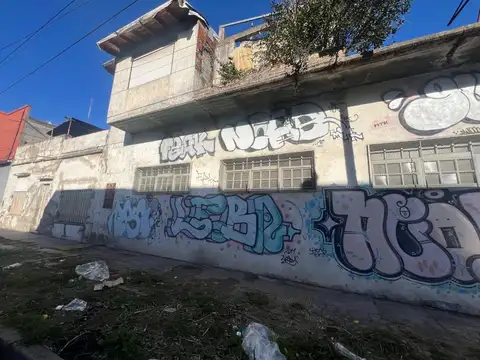 Erasmo 800