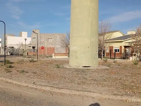 raul Alfonsin (ex Valle Enacantado) 100