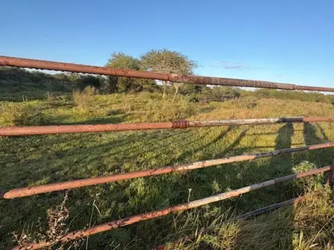 Camino Publico Zona Rural