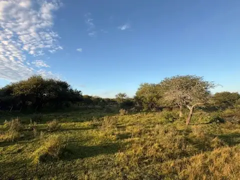 Camino Publico Zona Rural