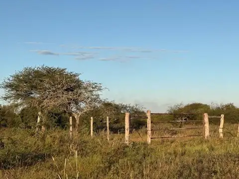 Camino Publico Zona Rural