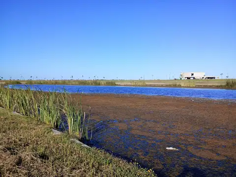 Puertos Amarras