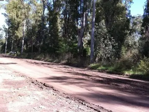 Terreno en Alquiler 225  mts Fondo