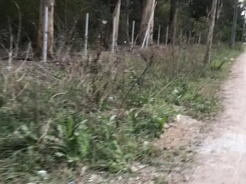 La Pista 1400