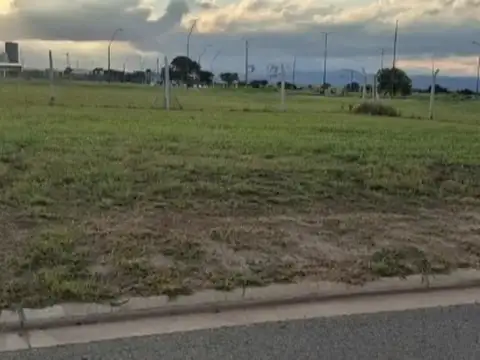 Terreno en Venta 25  mts Fondo
