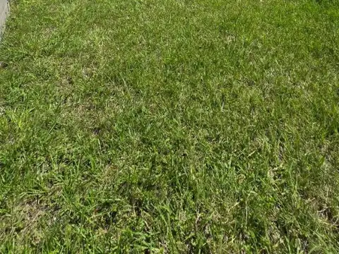 Terreno en Venta de 238,0 m2