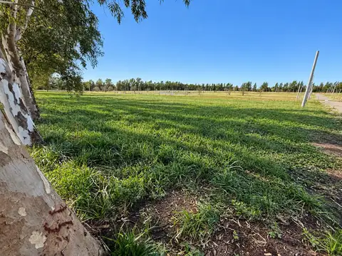Terreno en Venta de 1437,0 m2