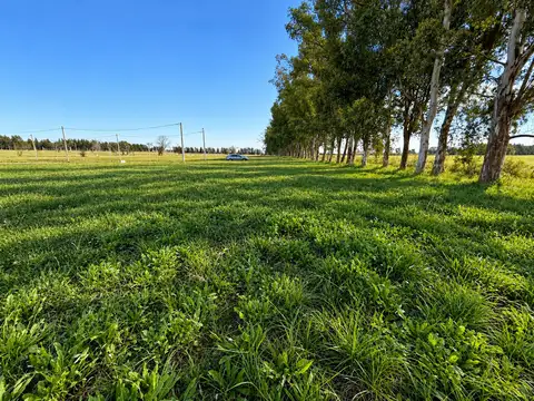 Terreno en Venta 50  mts Fondo