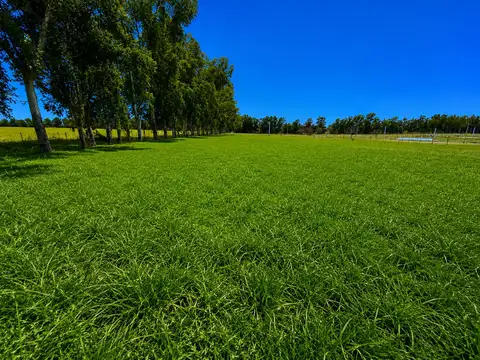 Terreno en Venta de 1437,0 m2