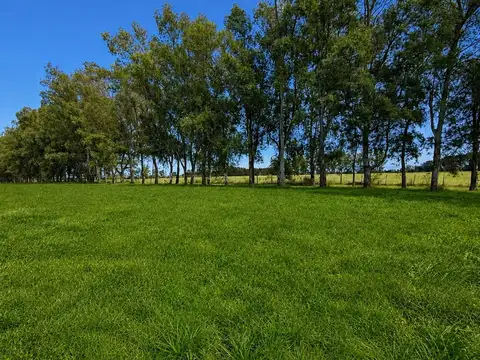 TERRENO A LA VENTA PRADERAS DE CARDALES II, ALTO LOS CARDALES .-