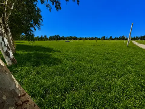 Terreno en Venta 50  mts Fondo