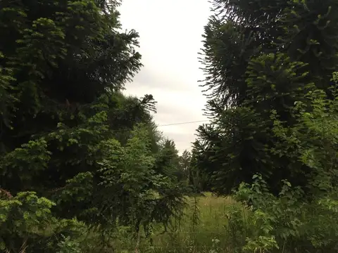 Fracción de 1 hecarea