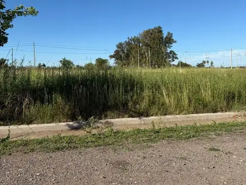 SE VENDE LOTE EN NUEVO ITALIA 250MTS2