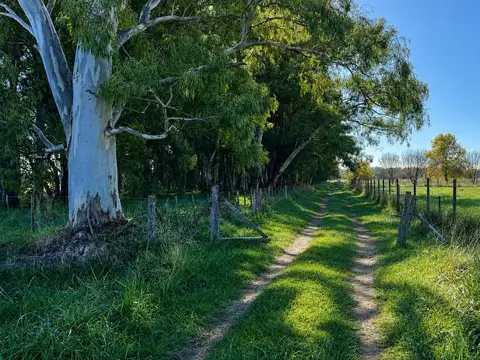 CAMPO EN VENTA SAN MIGUEL DEL MONTE SOBRE RN 41