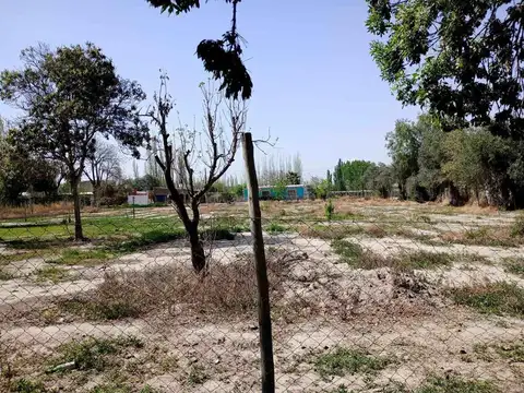 VENTA LOTE SAN MARTIN MENDOZA