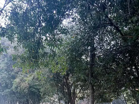 Terreno en Venta de 250,0 m2