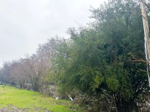 Terreno en Venta 25  mts Fondo