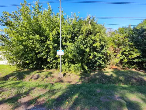 Terreno Calle Principal Cortines Varios Emprendimientos