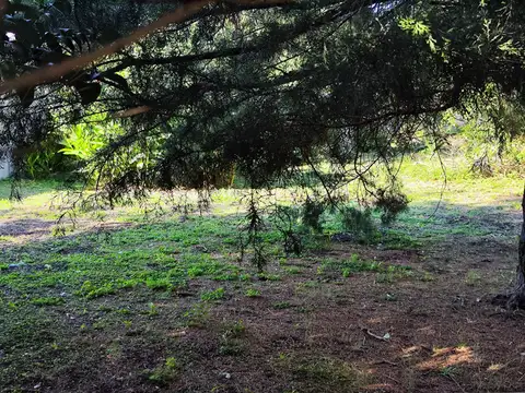 Terreno en Venta de 566,0 m2