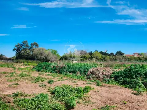 Terreno en venta para Desarrollo Inmobiliario 11,5 ha, a 300mts Ramal Pilar.