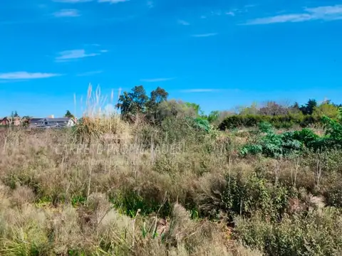Terreno en venta para Desarrollo Inmobiliario 11,5 ha, a 300mts Ramal Pilar.