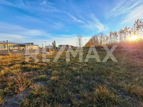 Pedro Ritossa y Los Coirones