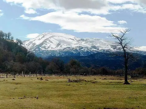 Campo - Tucu Tucu