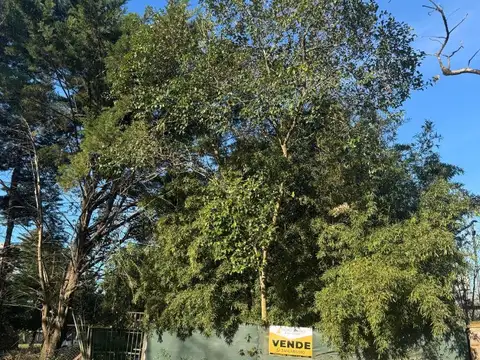 Terreno en Funes