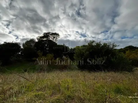 C. 151 398-300, B7165 Villa Gesell, Provincia de Buenos Aires