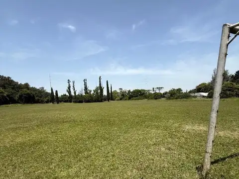Monteagudo 451
